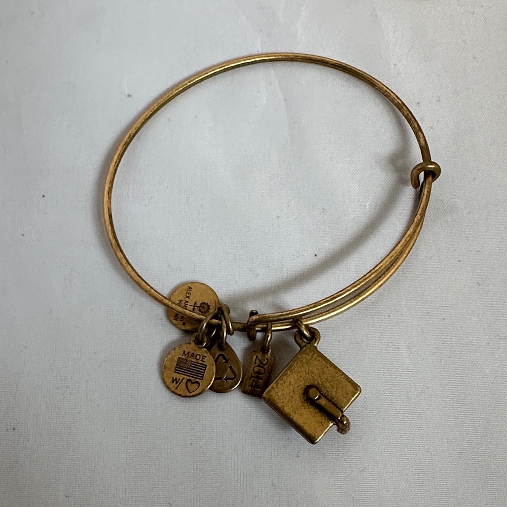 Alex and Ani Gold Charm Bracelet